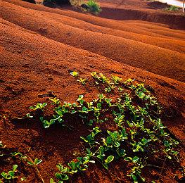 《女神异闻录3：Reload》新角色预告：真田明彦